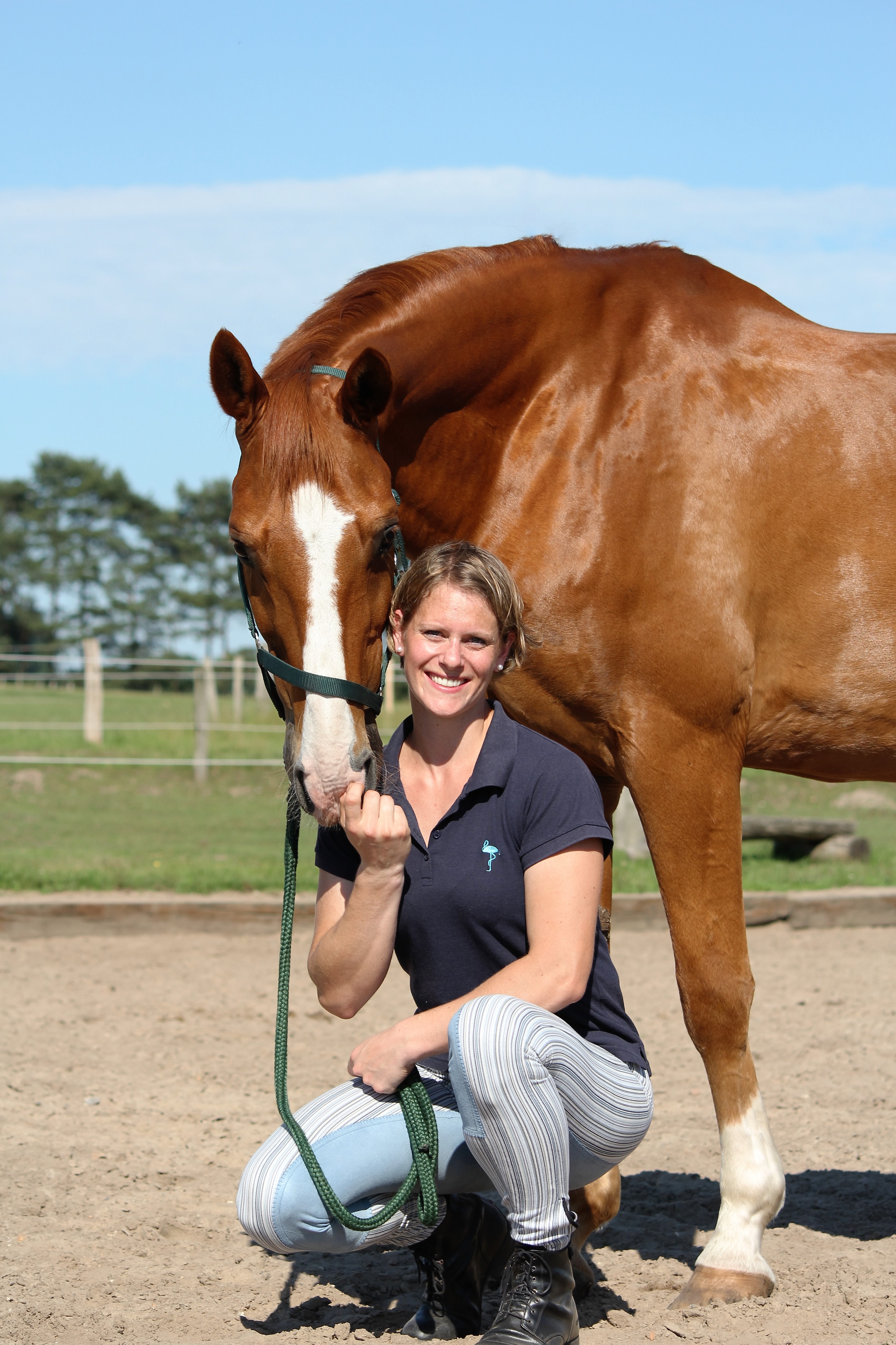 Verena Raschke Mobile Reitleherin - Reitunterricht und Beritt im Kreis Lüneburg