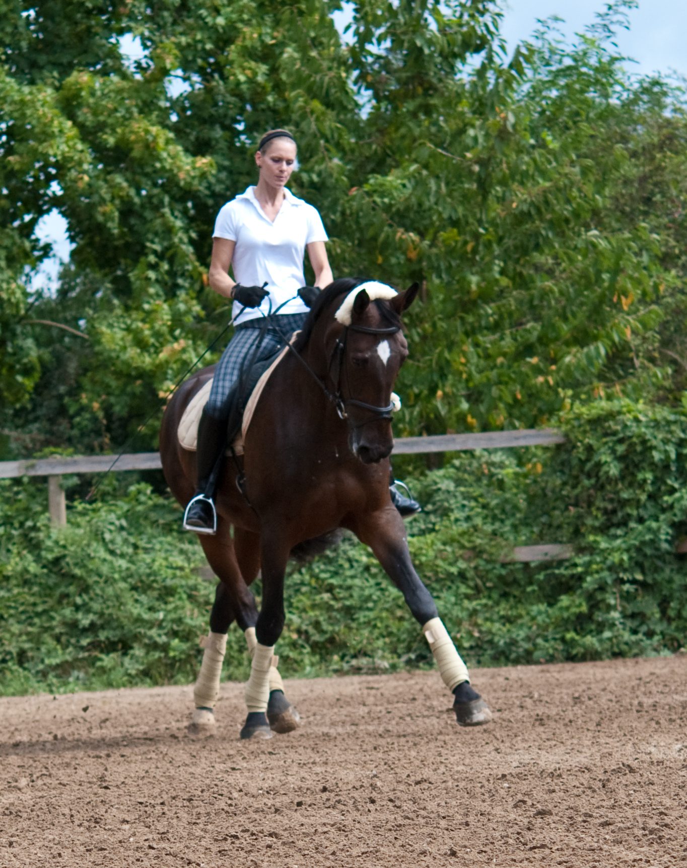 Verena Raschke Mobile Reitleherin - Reitunterricht und Beritt im Kreis Lüneburg